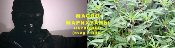 амф Верхний Тагил