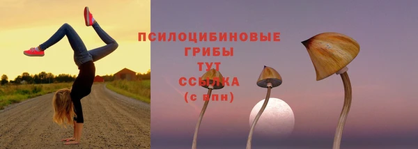 марки lsd Володарск