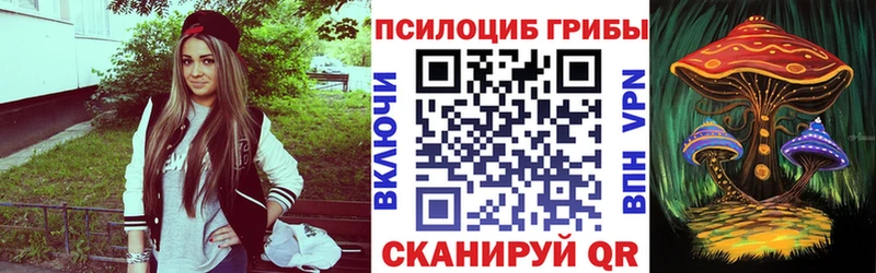 Псилоцибиновые грибы GOLDEN TEACHER Пенза